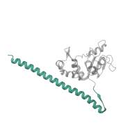 The deposited structure of PDB entry 5lzz contains 1 copy of Pfam domain PF08079 (Ribosomal L30 N-terminal domain) in Ribosomal protein L7. Showing 1 copy in chain F.