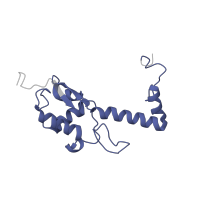 The deposited structure of PDB entry 5lzz contains 1 copy of Pfam domain PF00416 (Ribosomal protein S13/S18) in Small ribosomal subunit protein uS13. Showing 1 copy in chain RB [auth SS].