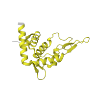 The deposited structure of PDB entry 5lzz contains 1 copy of Pfam domain PF01090 (Ribosomal protein S19e) in Small ribosomal subunit protein eS19. Showing 1 copy in chain SB [auth TT].