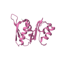 The deposited structure of PDB entry 5lzz contains 1 copy of Pfam domain PF00410 (Ribosomal protein S8) in 40S ribosomal protein S15a. Showing 1 copy in chain VB [auth WW].