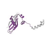 The deposited structure of PDB entry 5lzz contains 1 copy of Pfam domain PF01282 (Ribosomal protein S24e) in 40S ribosomal protein S24. Showing 1 copy in chain XB [auth YY].