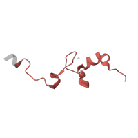 The deposited structure of PDB entry 5lzz contains 1 copy of Pfam domain PF00253 (Ribosomal protein S14p/S29e) in Small ribosomal subunit protein uS14. Showing 1 copy in chain CC [auth dd].