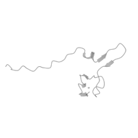 The deposited structure of PDB entry 5lzz contains 1 copy of Pfam domain PF00240 (Ubiquitin family) in Ubiquitin-ribosomal protein eS31 fusion protein. Showing 1 copy in chain EC [auth ff] (this domain is out of the observed residue ranges!).
