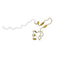 The deposited structure of PDB entry 5lzz contains 1 copy of Pfam domain PF01599 (Ribosomal protein S27a) in Ubiquitin-ribosomal protein eS31 fusion protein. Showing 1 copy in chain EC [auth ff].