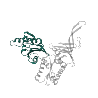 The deposited structure of PDB entry 5lzz contains 1 copy of Pfam domain PF03464 (eRF1 domain 2) in Protein pelota homolog. Showing 1 copy in chain HC [auth ii].