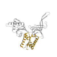 The deposited structure of PDB entry 5lzz contains 1 copy of Pfam domain PF03465 (eRF1 domain 3) in Protein pelota homolog. Showing 1 copy in chain HC [auth ii].