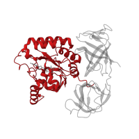 The deposited structure of PDB entry 5lzz contains 1 copy of Pfam domain PF00009 (Elongation factor Tu GTP binding domain) in HBS1-like protein. Showing 1 copy in chain IC [auth jj].