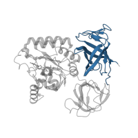 The deposited structure of PDB entry 5lzz contains 1 copy of Pfam domain PF03143 (Elongation factor Tu C-terminal domain) in HBS1-like protein. Showing 1 copy in chain IC [auth jj].