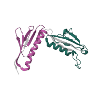 The deposited structure of PDB entry 5lzz contains 2 copies of Pfam domain PF00347 (Ribosomal protein L6) in Large ribosomal subunit protein uL6. Showing 2 copies in chain H.