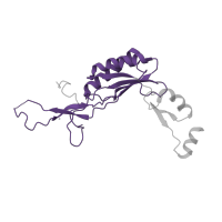 The deposited structure of PDB entry 5lzz contains 1 copy of Pfam domain PF00252 (Ribosomal protein L16p/L10e) in Ribosomal protein L10e/L16 domain-containing protein. Showing 1 copy in chain I.