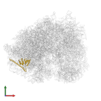 Ribosomal protein L7 in PDB entry 5lzz, assembly 1, front view.