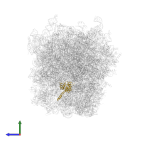 Ribosomal protein L7 in PDB entry 5lzz, assembly 1, side view.