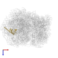 Ribosomal protein L7 in PDB entry 5lzz, assembly 1, top view.