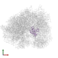 HBS1-like protein in PDB entry 5lzz, assembly 1, front view.