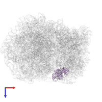 HBS1-like protein in PDB entry 5lzz, assembly 1, top view.