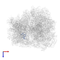 Small ribosomal subunit protein uS19 in PDB entry 5m1j, assembly 1, top view.