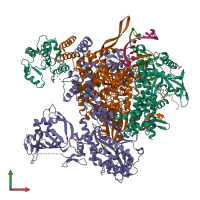 PDB entry 5m3h coloured by chain, front view.