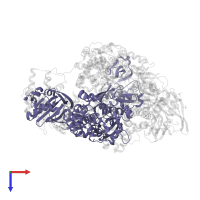 Polymerase basic protein 2 in PDB entry 5m3h, assembly 1, top view.