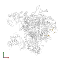 DNA-directed RNA polymerase II subunit RPB1 in PDB entry 5m3h, assembly 1, front view.