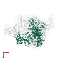 DNA-directed RNA polymerase I subunit RPA190 in PDB entry 5m3m, assembly 1, top view.