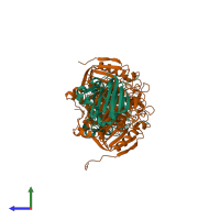 Hetero tetrameric assembly 3 of PDB entry 5m4o coloured by chemically distinct molecules, side view.