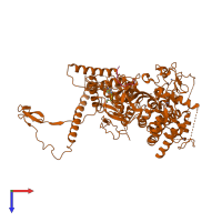 Hetero dimeric assembly 2 of PDB entry 5m5g coloured by chemically distinct molecules, top view.