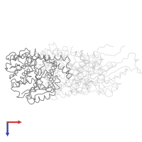 Tubulin alpha-1D chain in PDB entry 5m5i, assembly 1, top view.