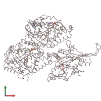 PDB entry 5m5l coloured by chain, front view.