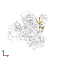 DNA-directed RNA polymerases I, II, and III subunit RPABC2 in PDB entry 5m5x, assembly 1, front view.