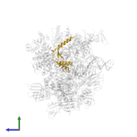 DNA-directed RNA polymerases I, II, and III subunit RPABC2 in PDB entry 5m5x, assembly 1, side view.