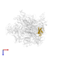 DNA-directed RNA polymerases I, II, and III subunit RPABC2 in PDB entry 5m5x, assembly 1, top view.