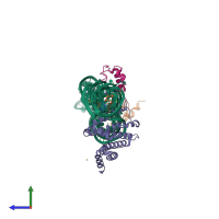 Hetero tetrameric assembly 1 of PDB entry 5m73 coloured by chemically distinct molecules, side view.