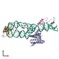 Hetero tetrameric assembly 2 of PDB entry 5m73 coloured by chemically distinct molecules, front view.