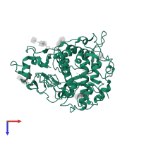 5,6-dihydroxyindole-2-carboxylic acid oxidase in PDB entry 5m8r, assembly 3, top view.