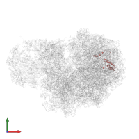 Large ribosomal subunit protein eL13A in PDB entry 5mc6, assembly 1, front view.