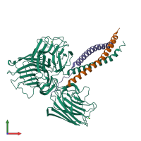 PDB entry 5mc9 coloured by chain, front view.