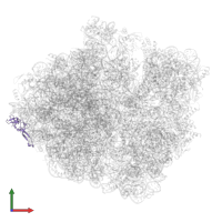 Large ribosomal subunit protein uL24 in PDB entry 5mdv, assembly 1, front view.