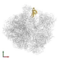 Large ribosomal subunit protein uL5 in PDB entry 5mdw, assembly 1, front view.