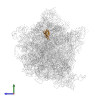 Small ribosomal subunit protein uS10 in PDB entry 5mdw, assembly 1, side view.