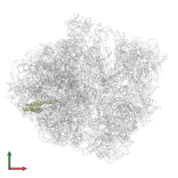 Large ribosomal subunit protein uL22 in PDB entry 5mdy, assembly 1, front view.