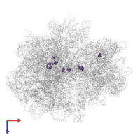 Modified residue PSU in PDB entry 5mdz, assembly 1, top view.