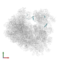 Suppressor protein STM1 in PDB entry 5mei, assembly 2, front view.