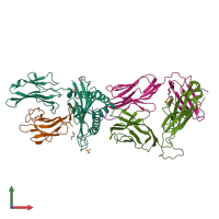 PDB entry 5men coloured by chain, front view.