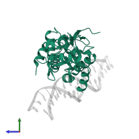 Mothers against decapentaplegic homolog 4 in PDB entry 5mez, assembly 1, side view.