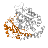 The deposited structure of PDB entry 5mio contains 1 copy of Pfam domain PF03953 (Tubulin C-terminal domain) in Tubulin alpha-1B chain. Showing 1 copy in chain A.