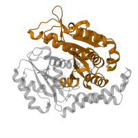 The deposited structure of PDB entry 5mio contains 1 copy of Pfam domain PF00091 (Tubulin/FtsZ family, GTPase domain) in Tubulin beta chain. Showing 1 copy in chain B.