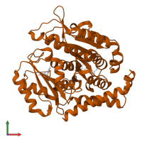 Tubulin beta chain in PDB entry 5mio, assembly 2, front view.