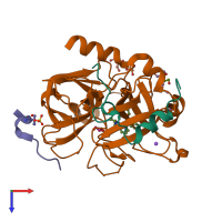 PDB entry 5mjt coloured by chain, top view.