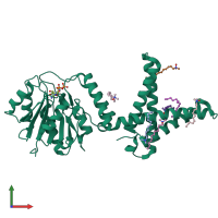 PDB entry 5mlz coloured by chain, front view.
