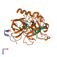 PDB entry 5mm6 coloured by chain, top view.